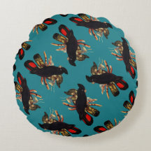 Vintage Black Cockatoo | Elizabeth Gould 1800s