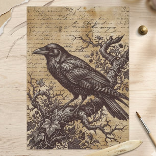 Vintage Black Raven Gothic Script Decoupage Tissue Paper