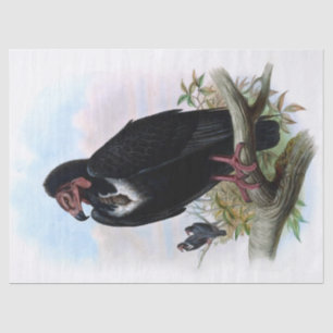 Vintage Black Vulture Bird Decoupage Tissue Paper