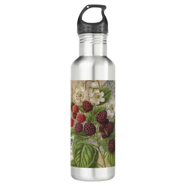 Vintage Blackberries & French Ephemera Art Collage 710 Ml Water Bottle (Front)
