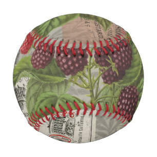 Vintage Blackberries & French Ephemera Art Collage Baseball