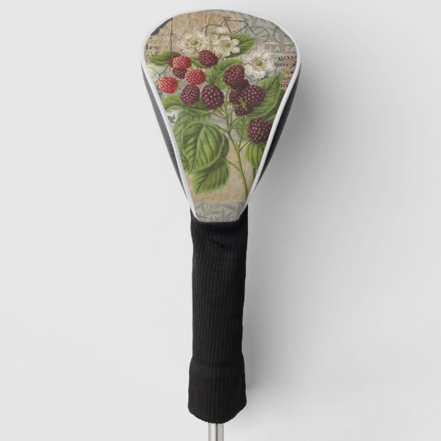 Vintage Blackberries & French Ephemera Art Collage Golf Head Cover (Front)