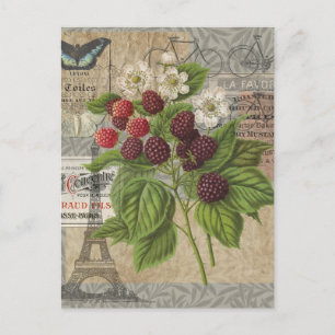 Vintage Blackberries & French Ephemera Art Collage Postcard