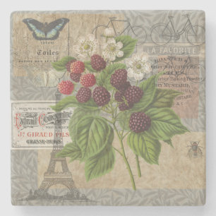 Vintage Blackberries & French Ephemera Art Collage Stone Coaster