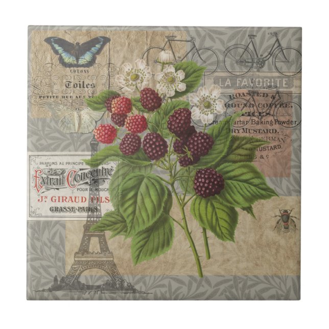 Vintage Blackberries & French Ephemera Art Collage Tile (Front)
