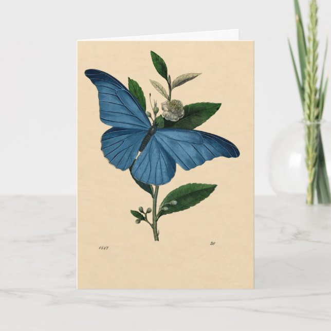 Vintage Blau Schmetterling, Happy Birthday Card (Front)