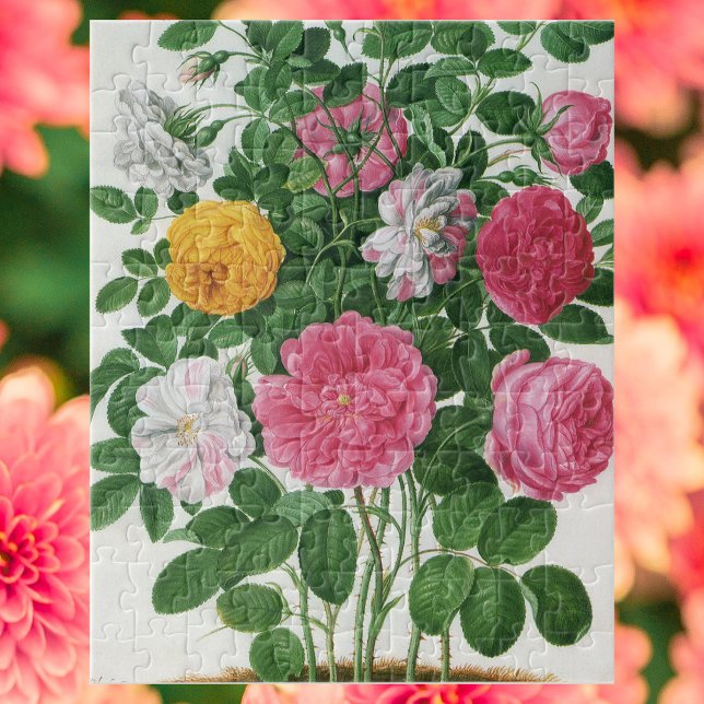 Vintage Blooming Flowers, Spring Garden Roses Jigsaw Puzzle (Creator Uploaded)