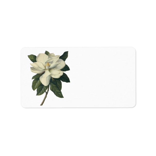 Vintage Blooming White Magnolia Blossom Flowers Label (Front)