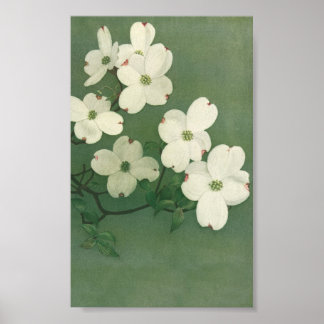Vintage Blossom Poster