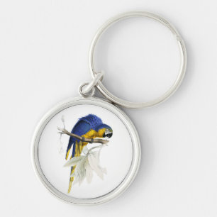Vintage Blue And Yellow Macaw Parrot Keychain
