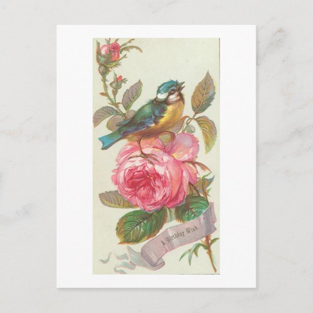 Vintage Blue Bird and Pink Flower Birthday Postcard (Front)