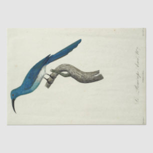 Vintage Blue Bird Ephemera Decoupage French Script Tissue Paper