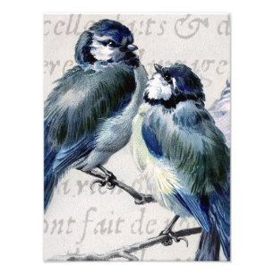 Vintage Blue Birds Collage - Customized Bluebirds Photo Print