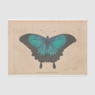 Vintage Blue Butterfly Ephemera Decoupage Teal Tissue Paper