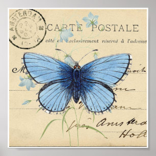 Vintage Blue Butterfly French Postcard Art Print