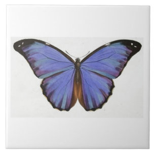 Vintage Blue Butterfly Tile