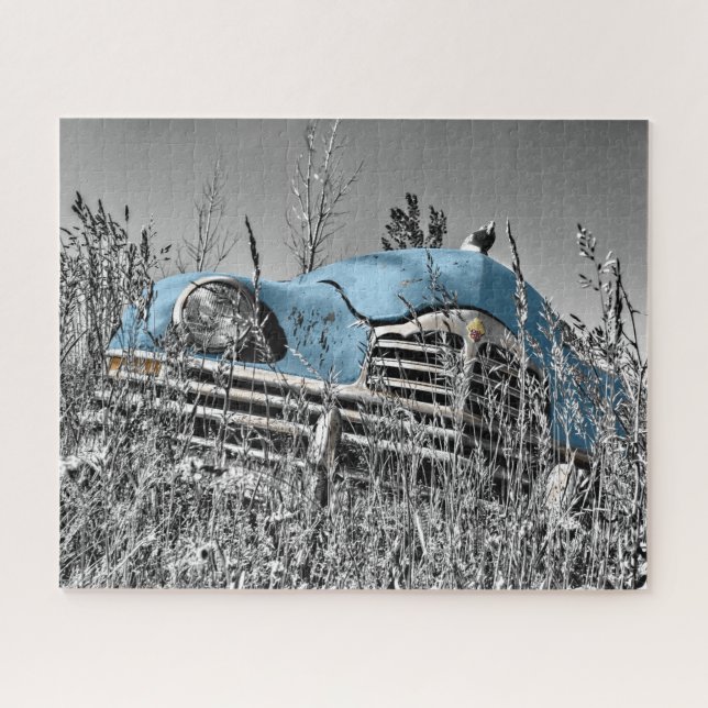 Vintage Blue Car in Grassy Field Jigsaw Puzzle (Horizontal)