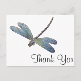 Vintage Blue Dragonfly Postcard