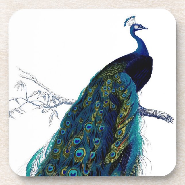Vintage Blue Elegant Colourful Peacock Coaster (Front)