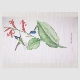 Vintage Blue Humming Bird Ephemera Decoupage  Tissue Paper