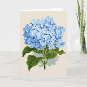 Vintage Blue Hydrangea Card