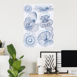 Vintage Blue Jellifish on White - Ernst Haeckel Poster