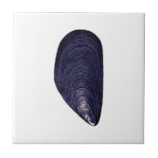 Vintage Blue Mussel Tile
