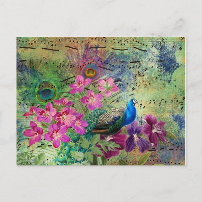 Vintage Blue Peacock Teal Music Pink Flowers Postcard (Front)