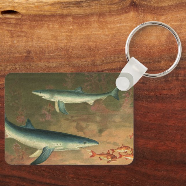 Vintage Blue Shark Eating Fish, Marine Life Keychain (Front)