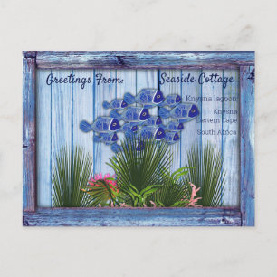 Vintage Blue Wood, Fish, Pink-coral Postcard