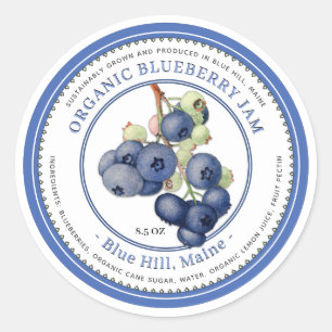Vintage Blueberry Illustration Blue Border Jam     Classic Round Sticker
