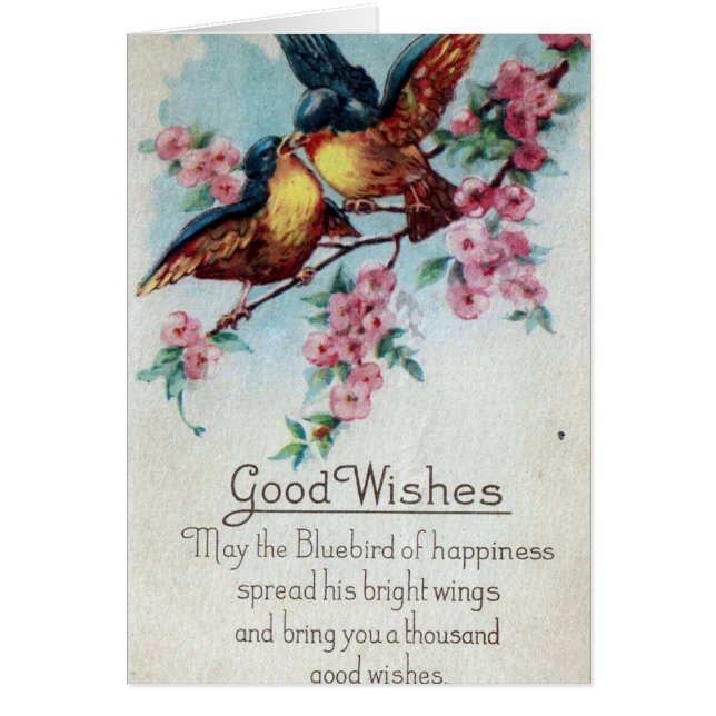 Vintage Bluebird Good Wishes (Front)