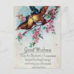 Vintage Bluebird Good Wishes Postcard