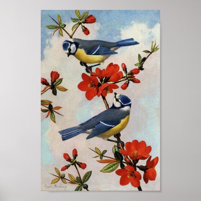 Vintage Bluebirds Red Blossoms Art Print Poster (Front)