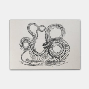 Vintage Boa Snake Skeleton Personalized Template Post-it Notes