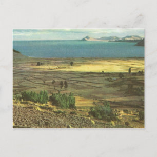 Vintage Bolivia, Lake Titicaca Postcard