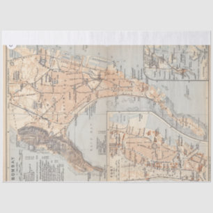 Vintage Bombay map Tissue Paper
