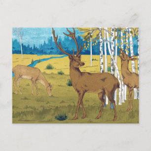 Vintage Book Deer in Woods w Birch Trees Postcard