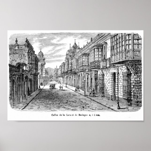 Vintage Book Illustration Poster (Front)