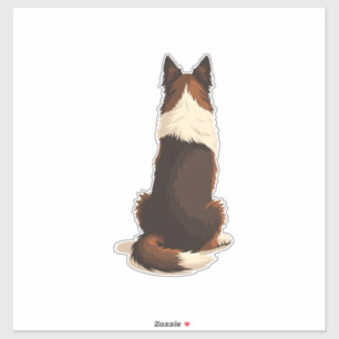 Vintage Border Collie From Behind Dog Illustration