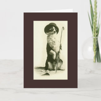 Vintage Border Collie Greeting Card
