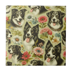 Vintage Border Collie Painting Tile