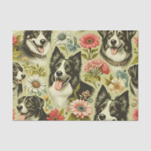 Vintage Border Collie Painting Tissue Paper