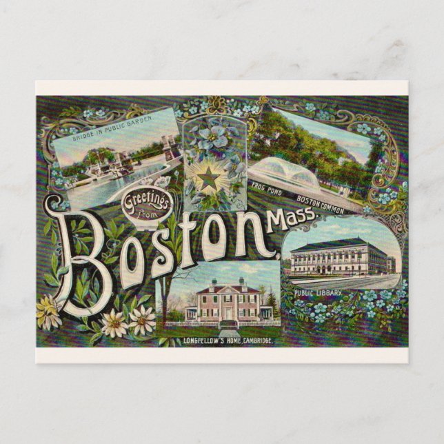 Vintage Boston Frog Pond  Postcard (Front)