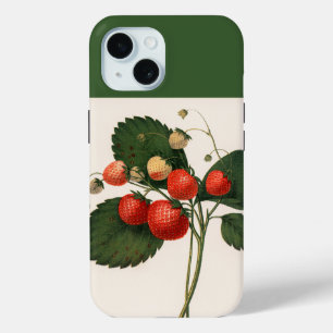 Vintage Boston Pine Strawberry  Case-Mate iPhone C 15 Case