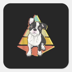 Vintage Boston Terrier Dog Retro Distressed Boston Square Sticker