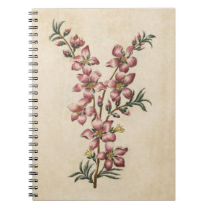 Vintage Botaical Floral Almond Blossom Notebook