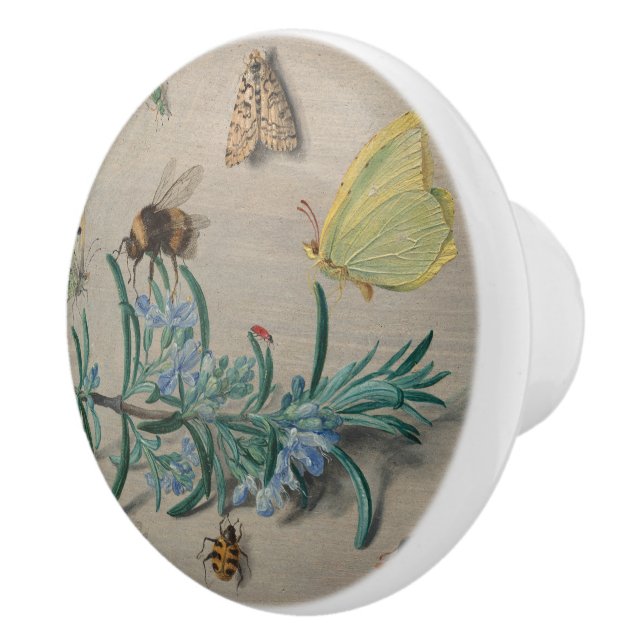 Vintage Botanical and Bee Illustration Ceramic Knob (Right)