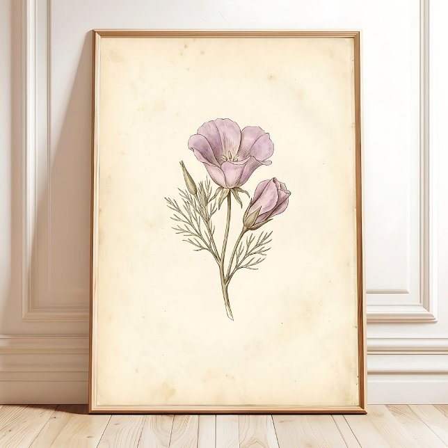 Vintage Botanical Art Print (Creator Uploaded)