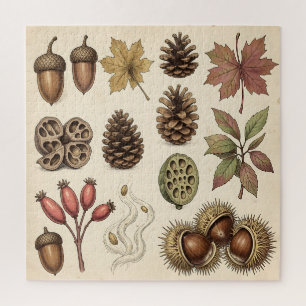 Vintage Botanical Autumn Acorns Pinecones Leaves Jigsaw Puzzle